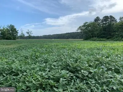 0 Grays Corner Rd, Berlin, MD 21811 - Image #2