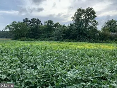 0 Grays Corner Rd, Berlin, MD 21811 - Image #3