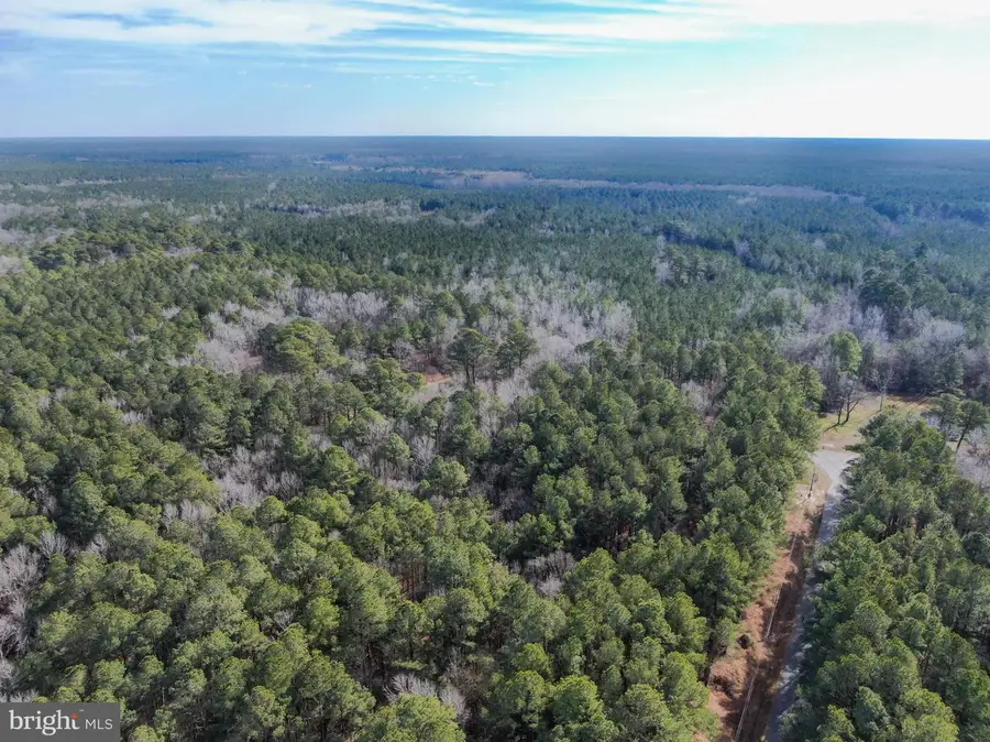 Lot 2 Sand Road, Snow Hill, MD 21863 - Image #2