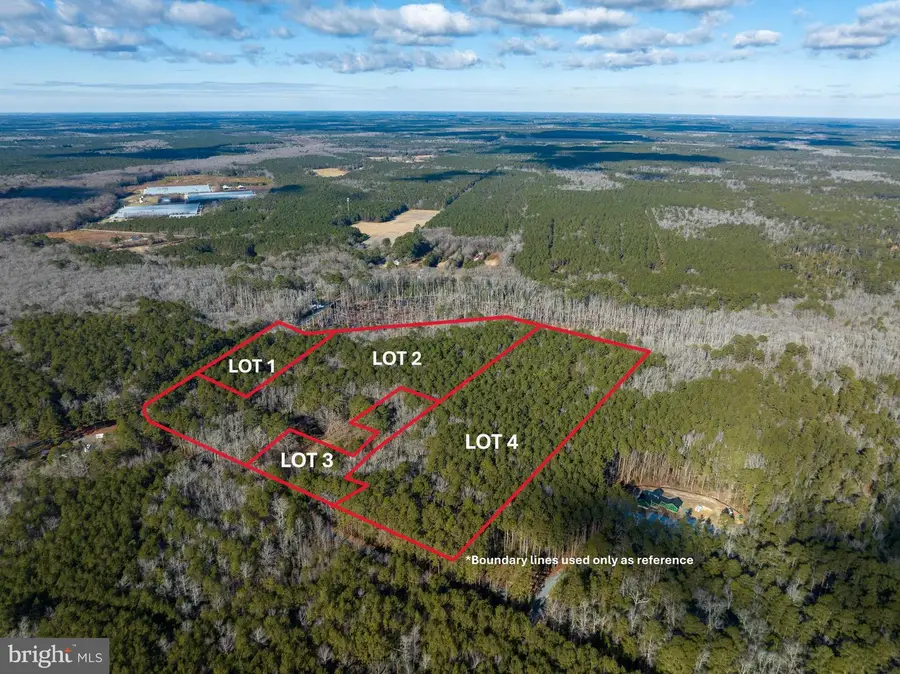 Lot 3 Sand Road, Snow Hill, MD 21863 - #3