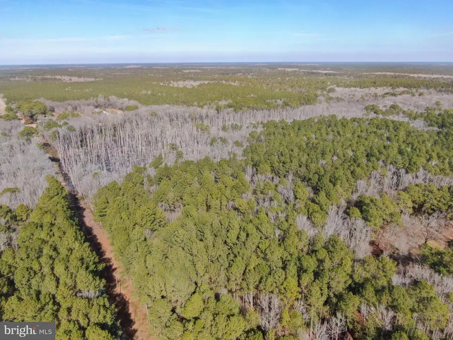 Lot 2 Sand Road, Snow Hill, MD 21863 - Image #3