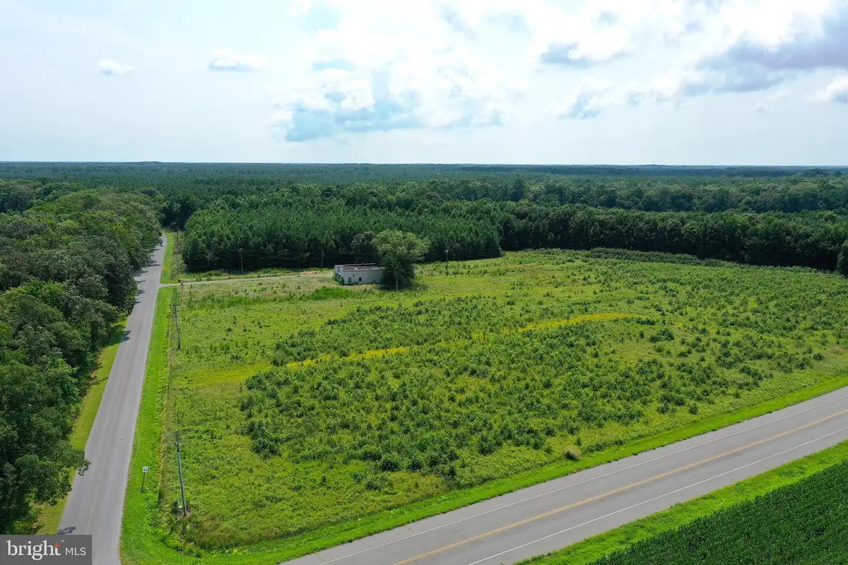 1637 Dun Swamp Rd, Pocomoke City, MD 21851 - Image #1