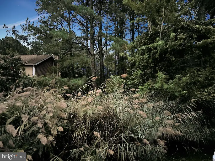 21 Alden Ct, Ocean Pines, MD 21811 - Image #3