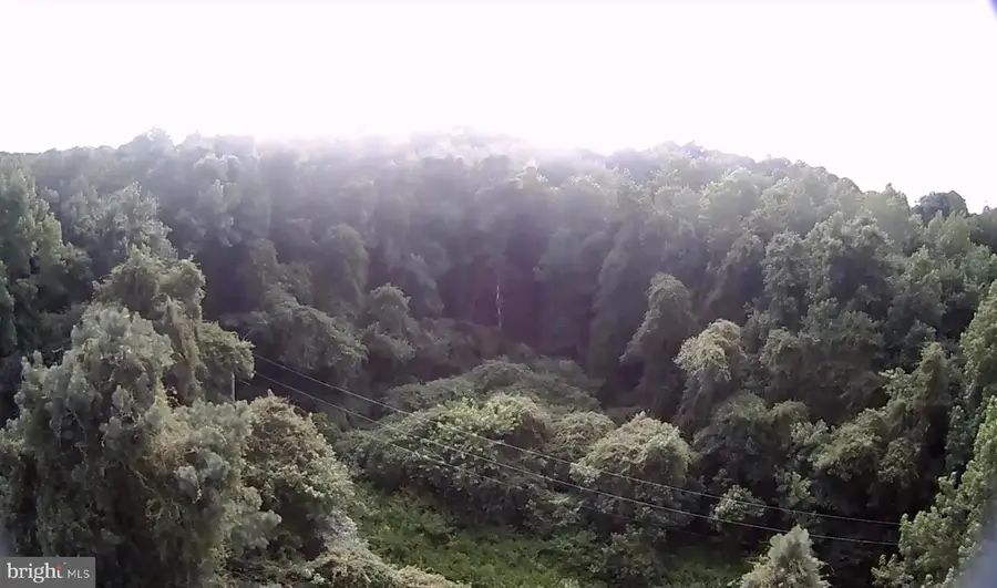 7613 Acorn Rd, Newark, MD 21841 - Image #2