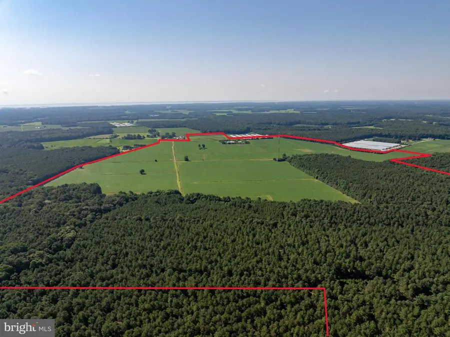 3203 Betheden Church Rd, Pocomoke City, MD 21851 - Image #2