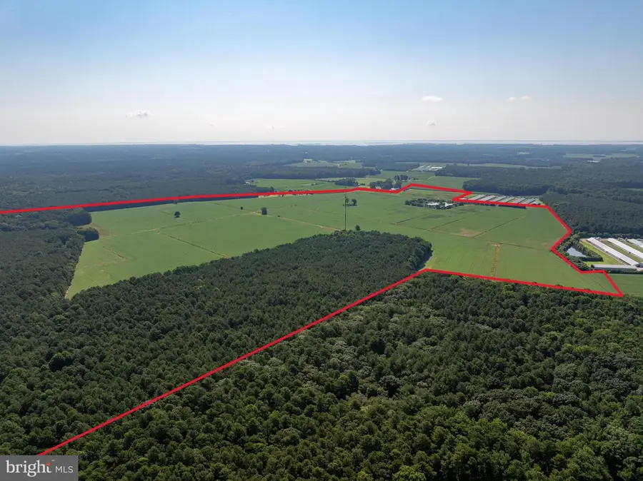 3203 Betheden Church Rd, Pocomoke City, MD 21851 - Image #3