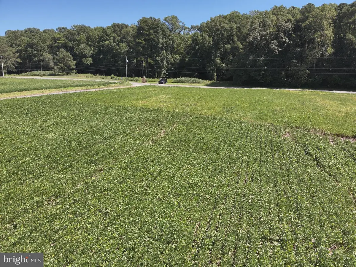 Rt 12, Snow Hill, MD 21863 - Image #1