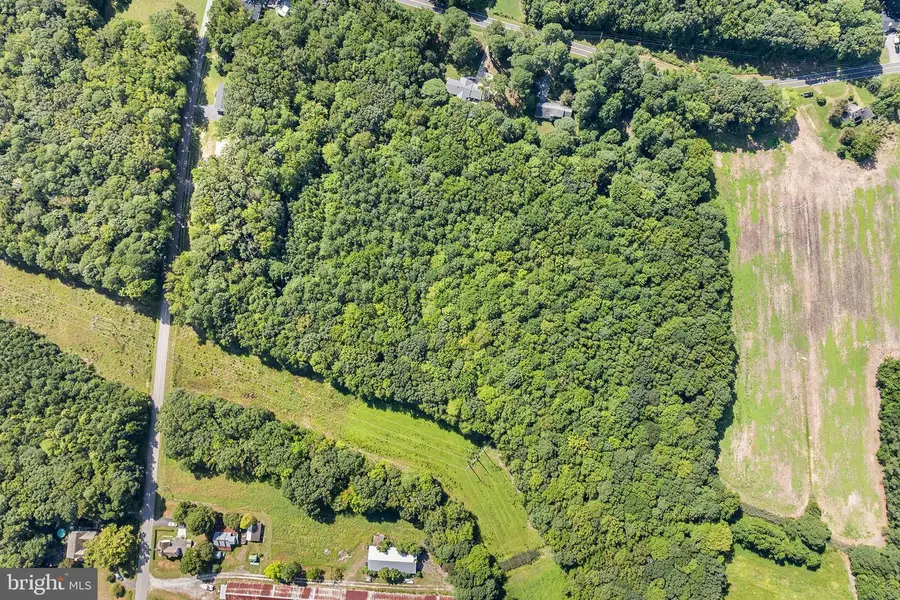 0 St Martins Neck Rd, Bishopville, MD 21813 - Image #2
