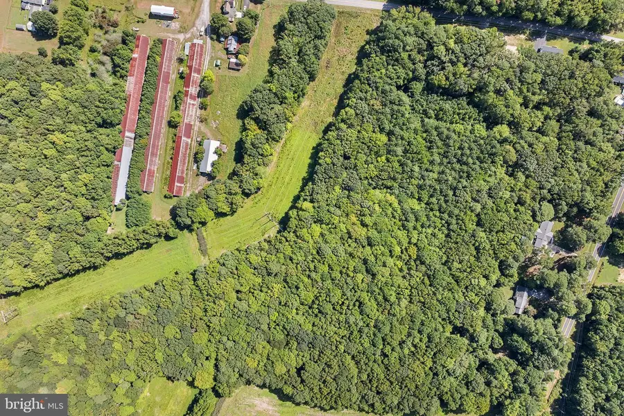 0 St Martins Neck Rd, Bishopville, MD 21813 - Image #3