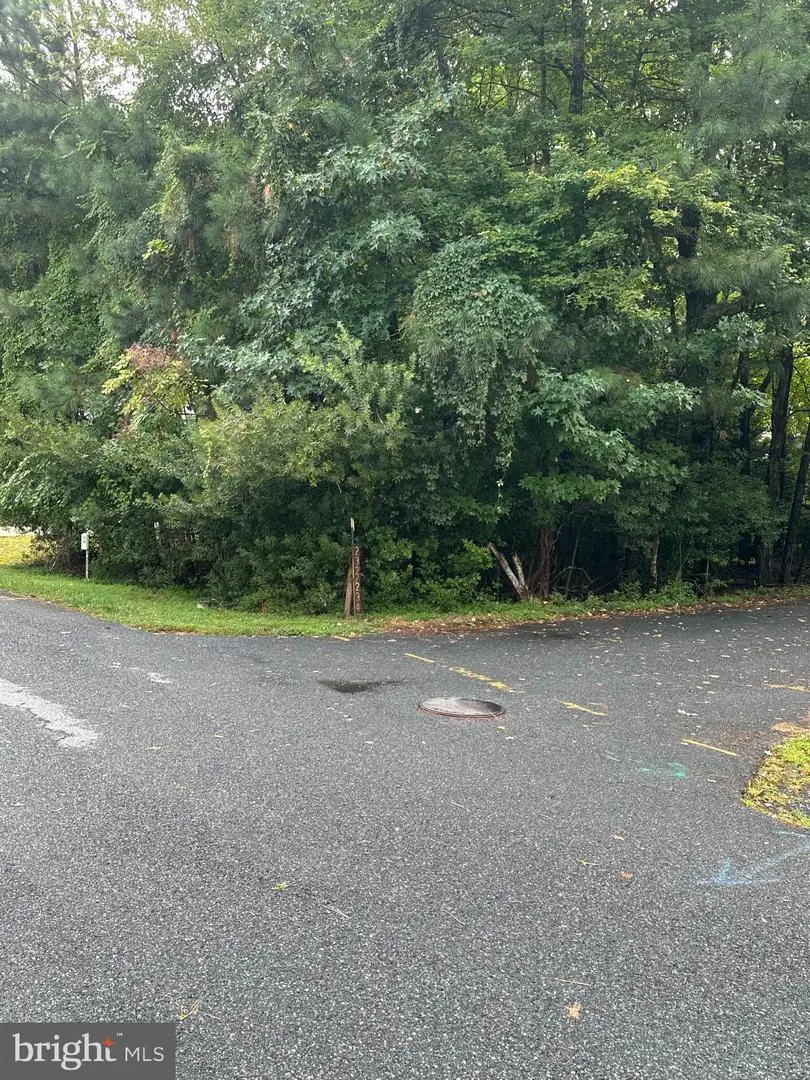 226 Charleston Rd, Ocean Pines, MD 21811 - Image #3