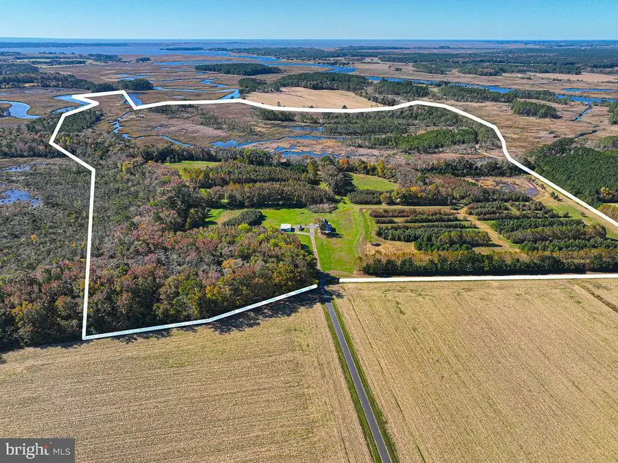 163 Hall Rd, Pocomoke City, MD 21851 - Image #3