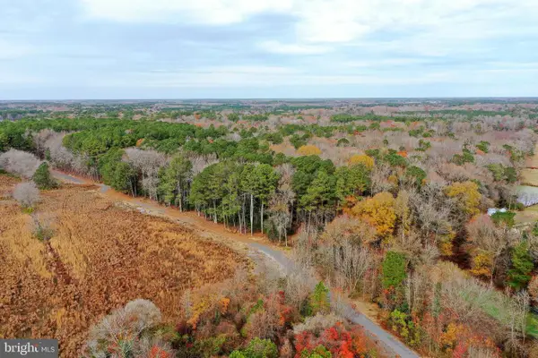 Parcel #169 Georgetown Rd, BERLIN, MD 21811