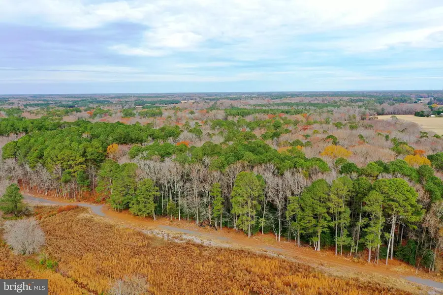 Parcel #169 Georgetown Rd, Berlin, MD 21811 - Image #2