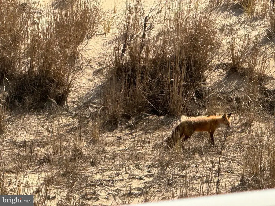 12305 Wight St #102, Ocean City, MD 21842 - Image #3