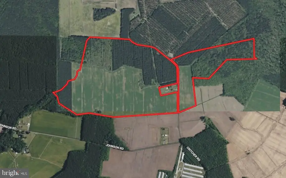 535 Critcher Rd, Pocomoke City, MD 21851 - Image #1