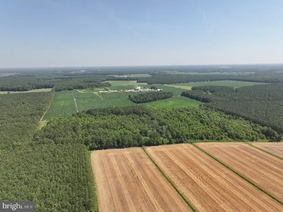 535 Critcher Rd, Pocomoke City, MD 21851 - Image #3