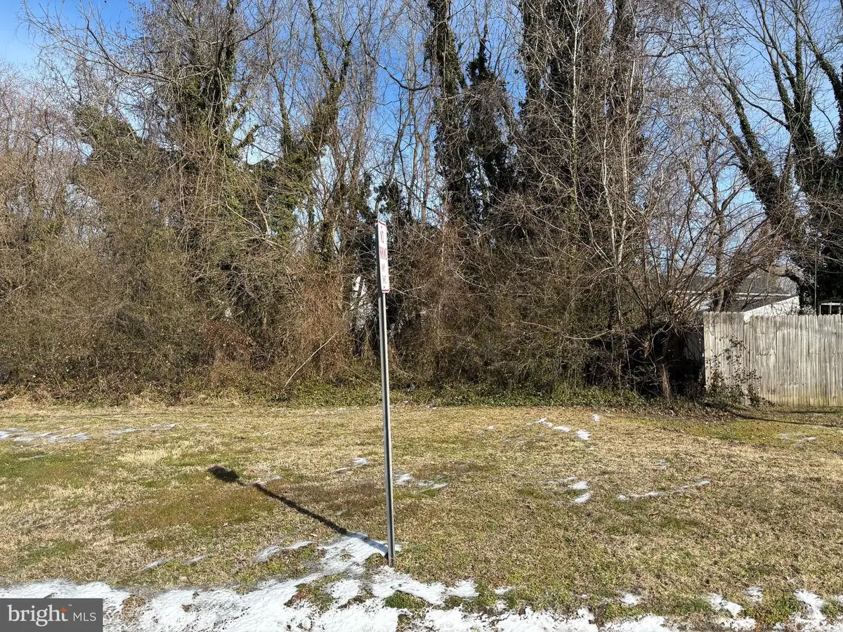 507 Bonneville Ave, Pocomoke City, MD 21851 - #1