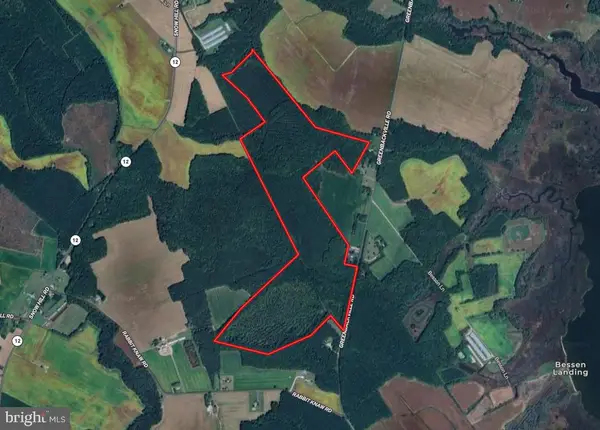 0 Greenbackville Rd, STOCKTON, MD 21864