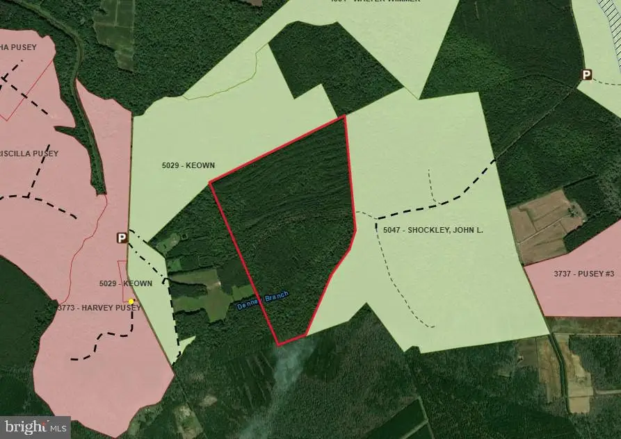 0 Stevens Rd, Snow Hill, MD 21863 - #2