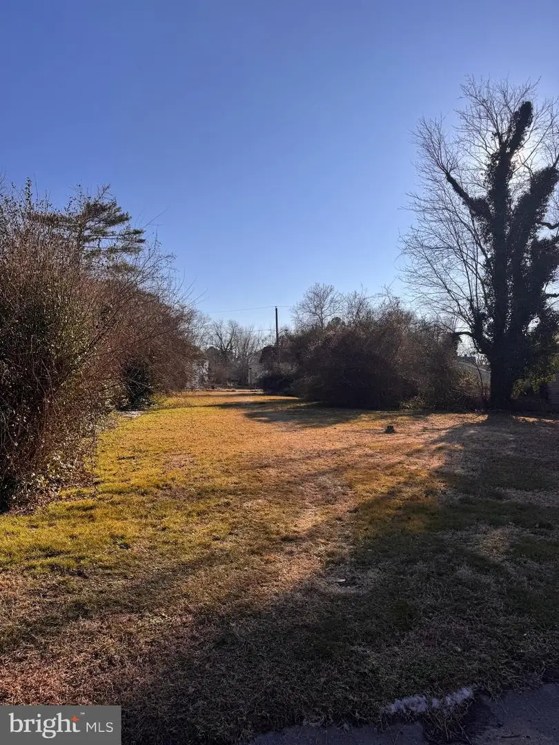 412 Linden Ave, Pocomoke City, MD 21851 - #1