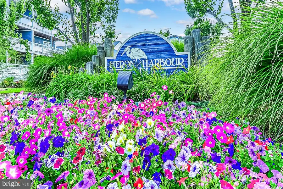 201 S Heron Dr #8a2, Ocean City, MD 21842 - Image #3