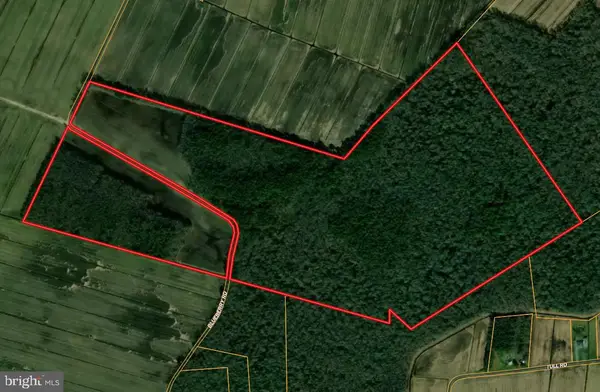 Blueberry Rd, WHALEYVILLE, MD 21872