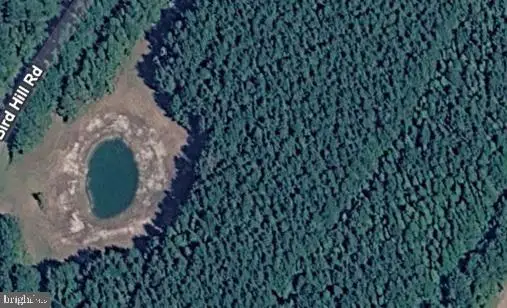 0 Bird Hill Rd, STOCKTON, MD 21864