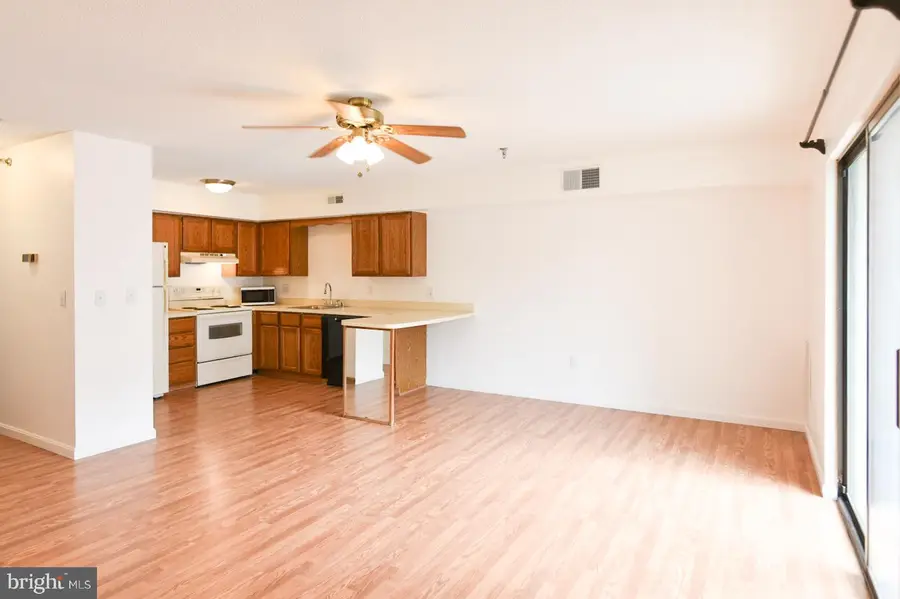 14300 Jarvis Ave #a202, Ocean City, MD 21842 - #2