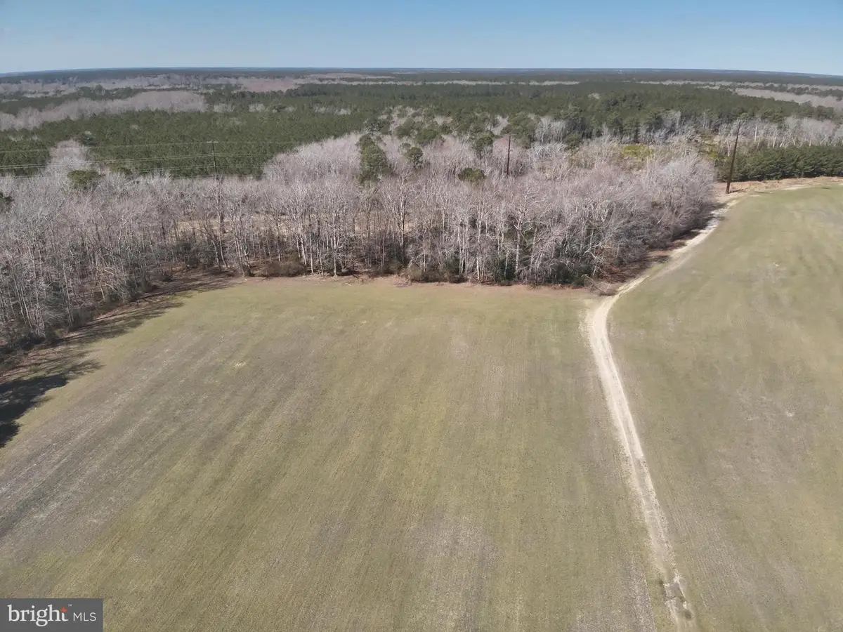 Rt 12, Snow Hill, MD 21863 - #1