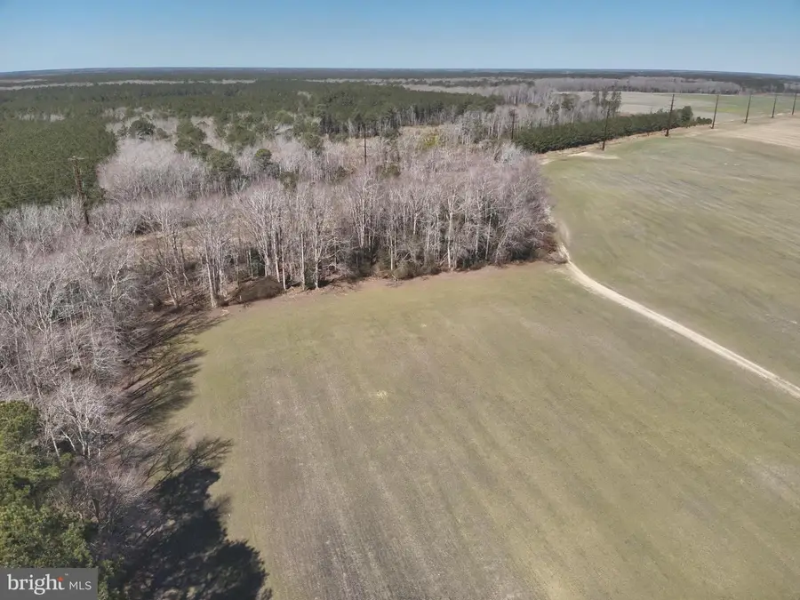 Rt 12, Snow Hill, MD 21863 - #2