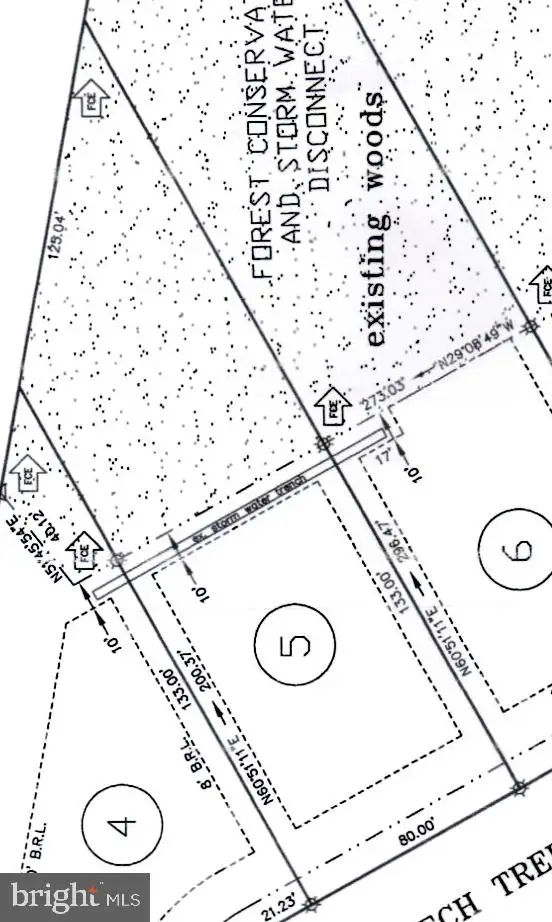 Lot 5 Stephen Decatur Hwy, Berlin, MD 21811 - #2
