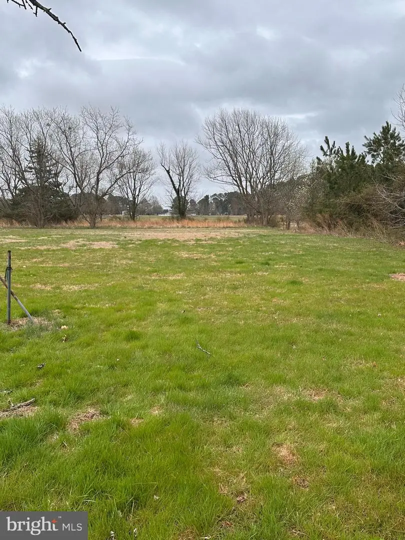 0 Laurel St, Pocomoke City, MD 21851 - #2