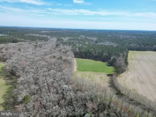 0 Blake Rd, SNOW HILL, MD 21863