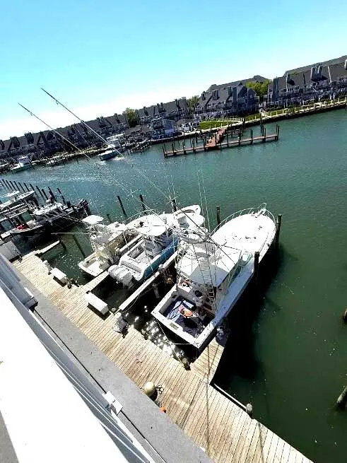 310 13th St #302, Ocean City, MD 21842 - #2
