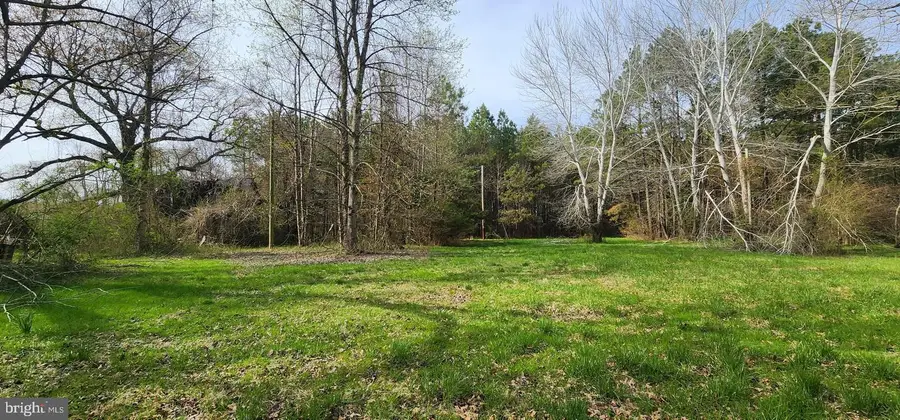 Lot 1 C Rd, Snow Hill, MD 21863 - #3