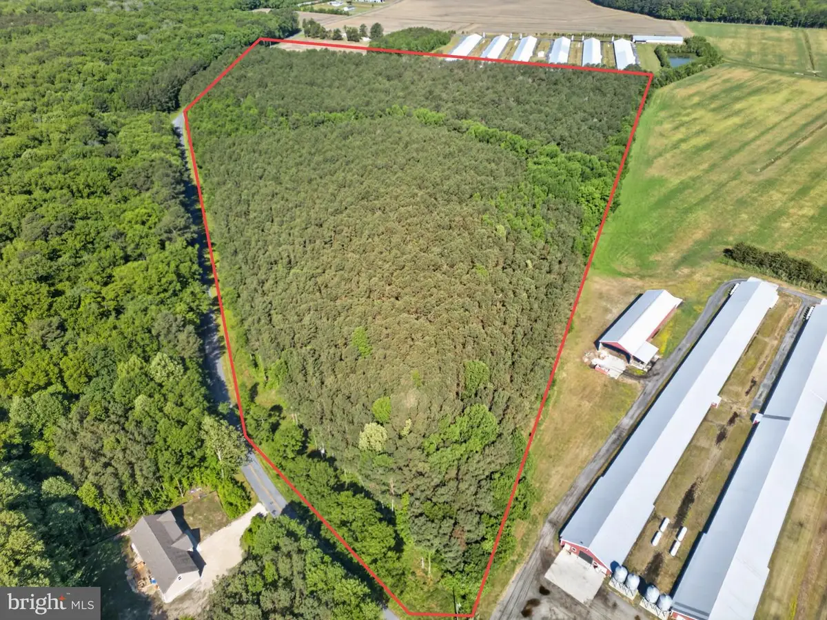 Johnson Neck Rd, Pocomoke City, MD 21851 - #1