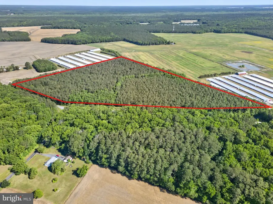 Johnson Neck Rd, Pocomoke City, MD 21851 - #3