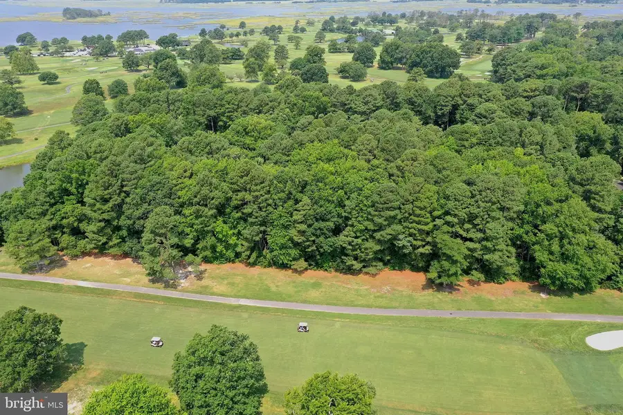 Lot 49 Quillin Way, Berlin, MD 21811 - #3