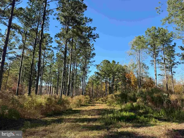 Grey Farm Road-jamesville, Nc (tract: Grey Farm), BEAUFORT, NC 28516