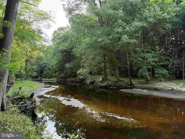 Sarecta Road (tract: Duplin), OTHER, NC 99999