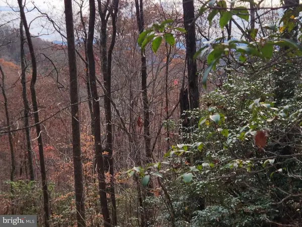 0 Bear Cove Cir, BRYSON CITY, NC 28713