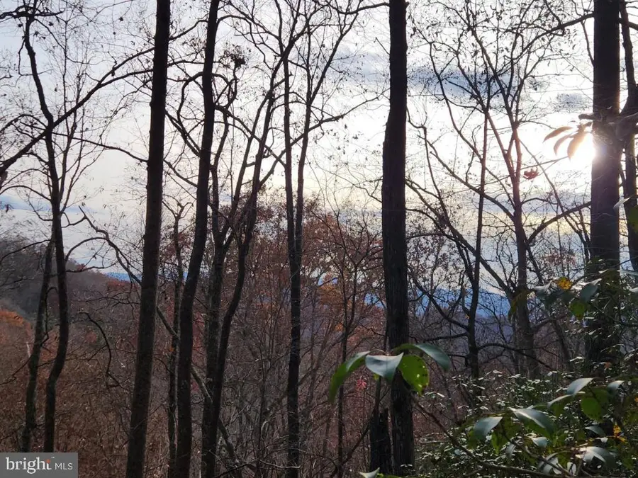 0 Bear Cove Cir, Bryson City, NC 28713 - #2