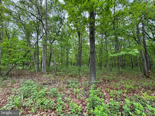 L15 02 Ash Avenue, GALLOWAY, NJ 08205