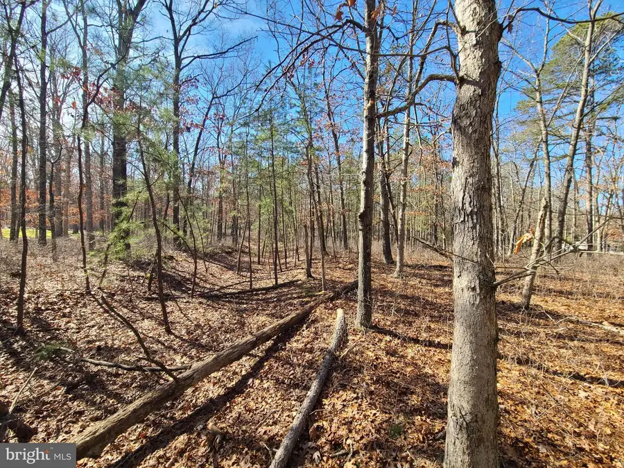 L7 Betsey Scull Rd, Egg Harbor Township, NJ 08234 - #3