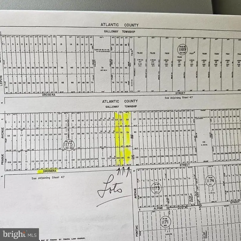 0 Drosera St, Mays Landing, NJ 08330 - Image #1