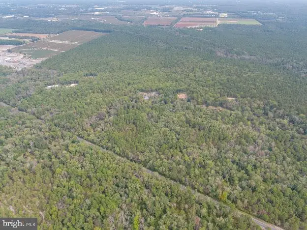 1528 Mays Landing Rd, Hammonton, NJ 08037 - Image #2