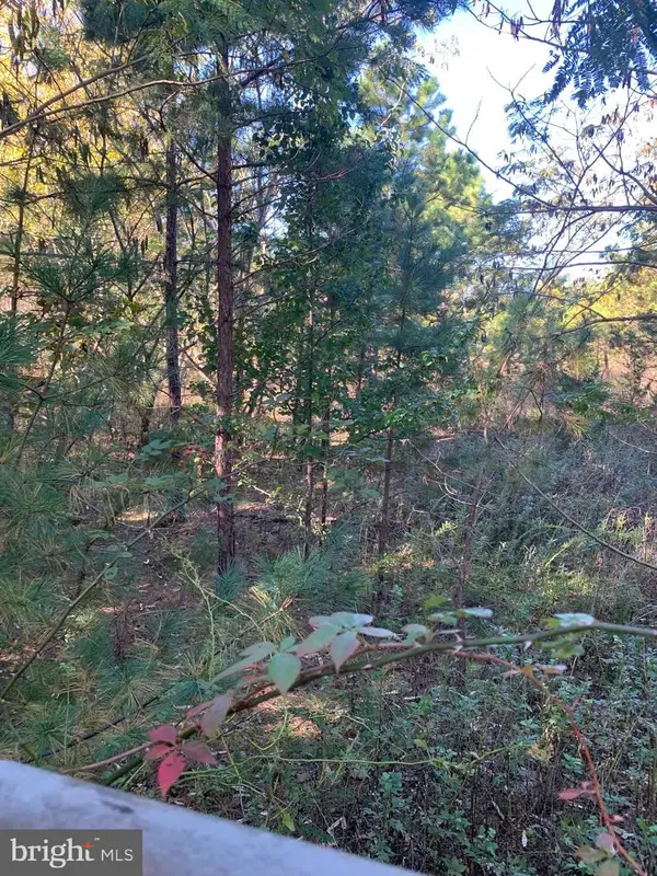 3061 Tremont Ave, EGG HARBOR TOWNSHIP, NJ 08234