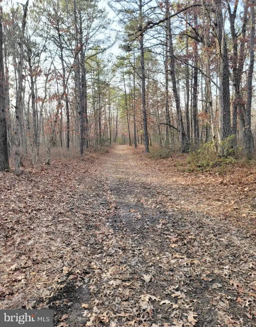 124 Fifth Ave, Egg Harbor City, NJ 08215 - Image #1