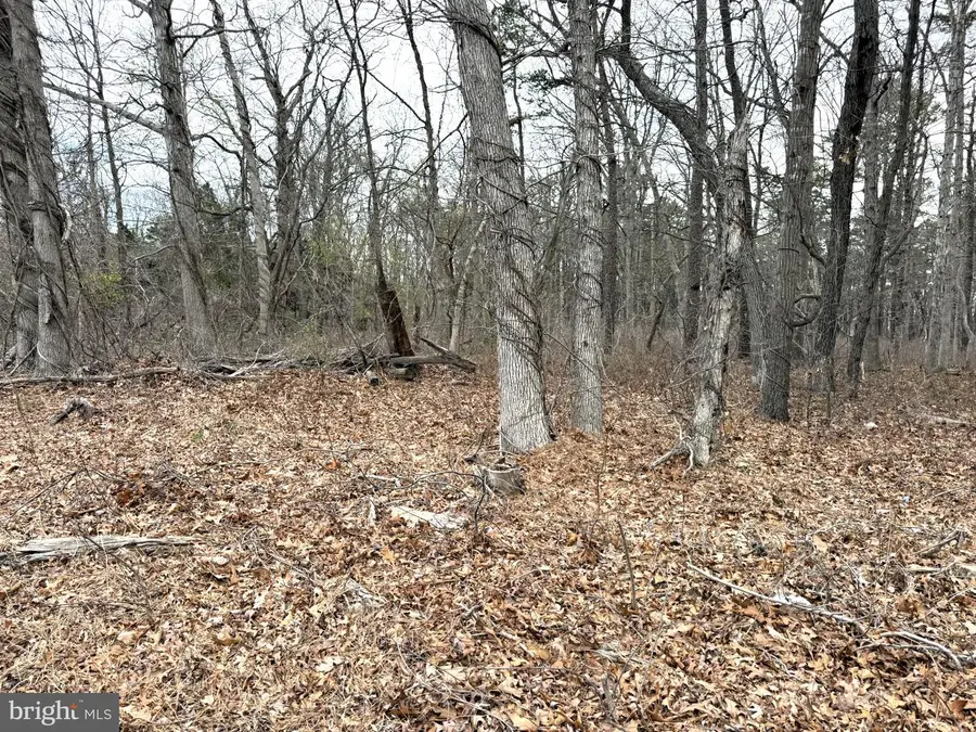 0 W White Horse Pike, Galloway, NJ 08205 - Image #3