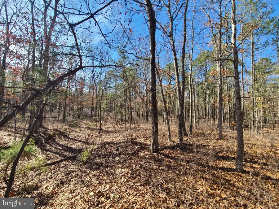 L7 Betsey Scull Rd, Egg Harbor, NJ 08234 - #2